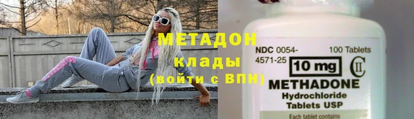 шишки Аркадак