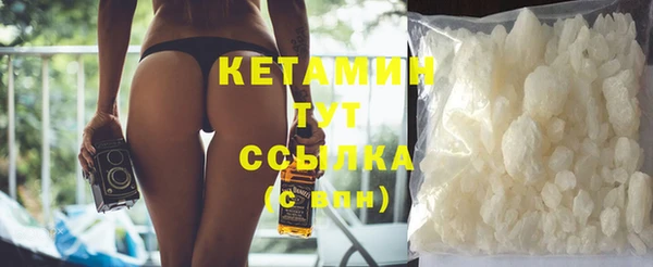 шишки Аркадак