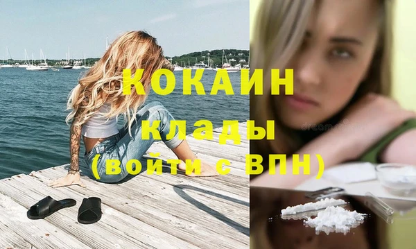 шишки Аркадак