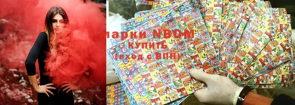 шишки Аркадак