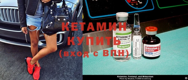 шишки Аркадак